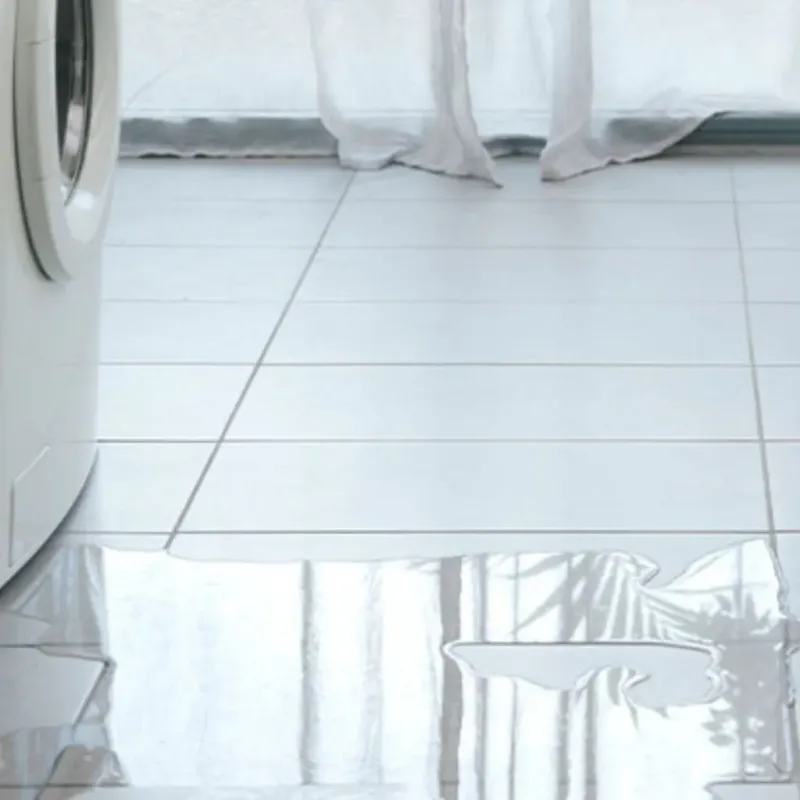 Appliance Leak Cleanup in Manito, IL