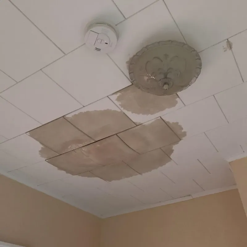 Ceiling Water Damage Repair in Manito, IL