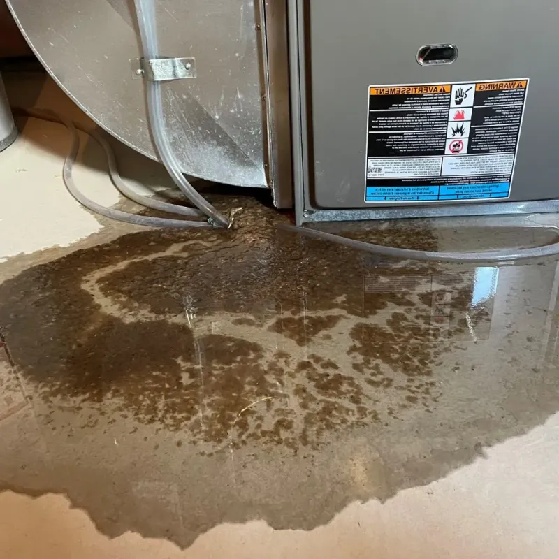 Pipe Burst and Leak Restoration in Manito, IL