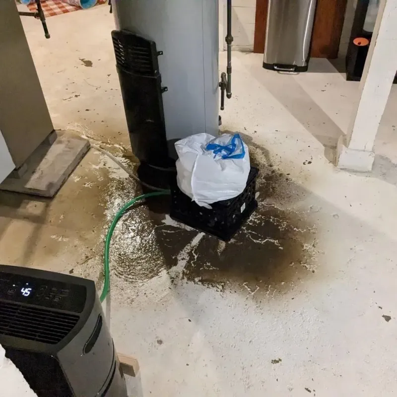 Sewage Backup Cleanup Service in Manito, IL